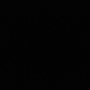 Meet your Posher, Luis